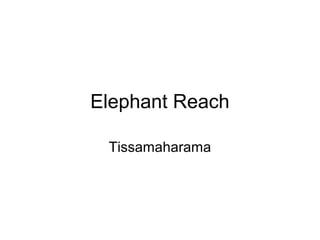Elephant Reach

 Tissamaharama
 