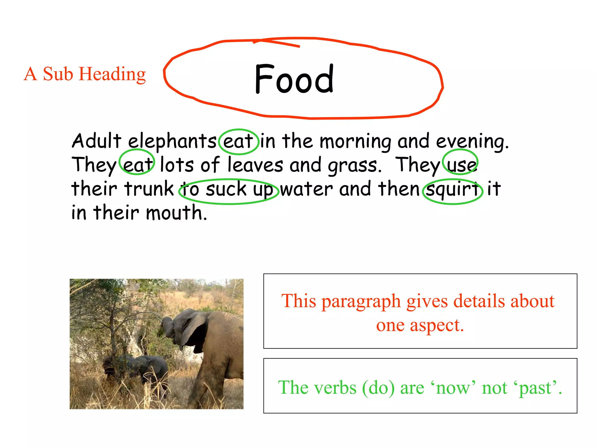 Food   Adult elephants eat in the morning and evening.  They eat lots of leaves and grass.  They use their trunk to suck up water and then squirt it in their mouth.  This paragraph gives details about  one aspect. A Sub Heading The verbs (do) are ‘now’ not ‘past’. 
