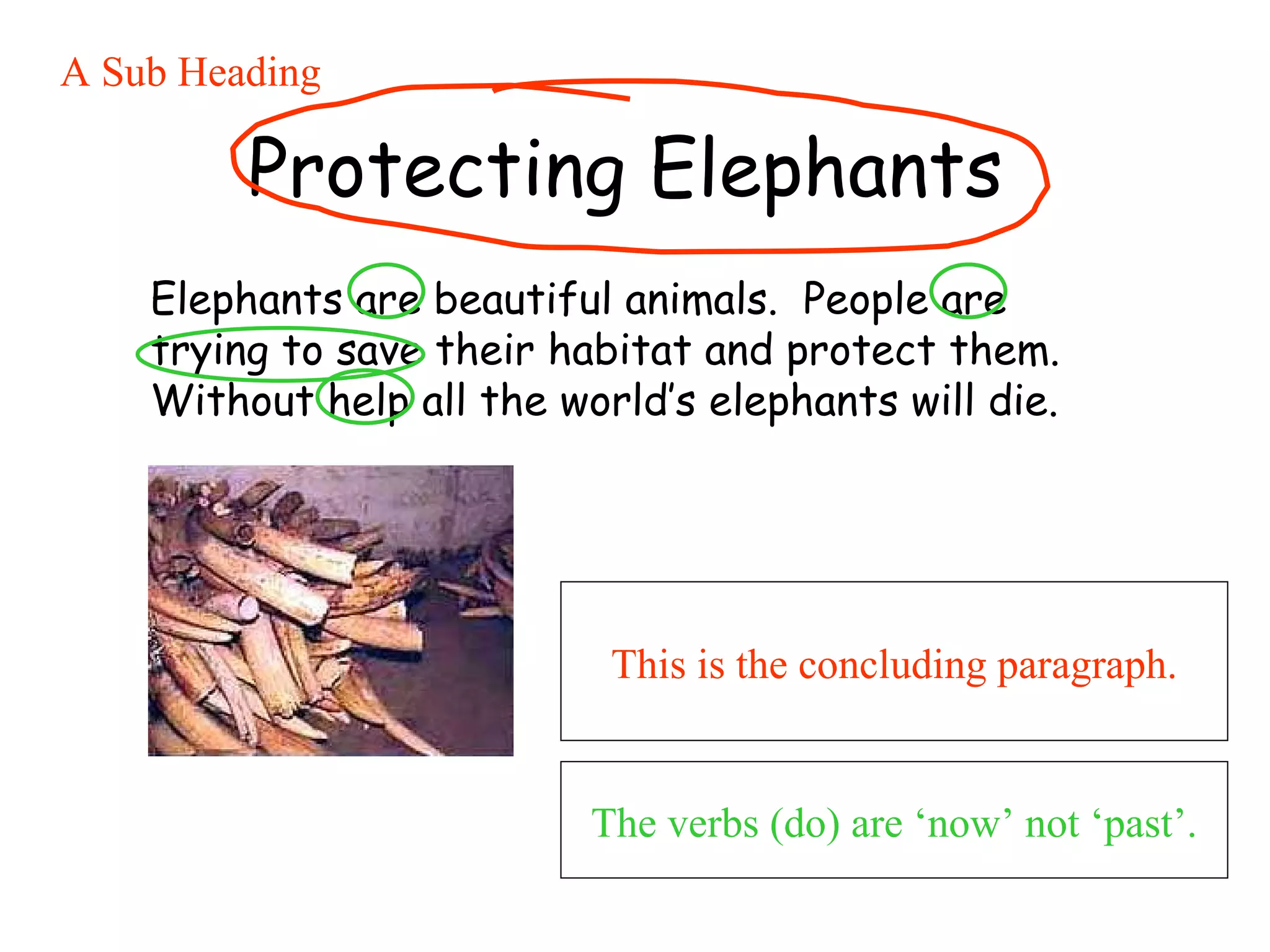 Protecting Elephants   Elephants are beautiful animals.  People are trying to save their habitat and protect them.  Without help all the world’s elephants will die. This is the concluding paragraph. A Sub Heading The verbs (do) are ‘now’ not ‘past’. 