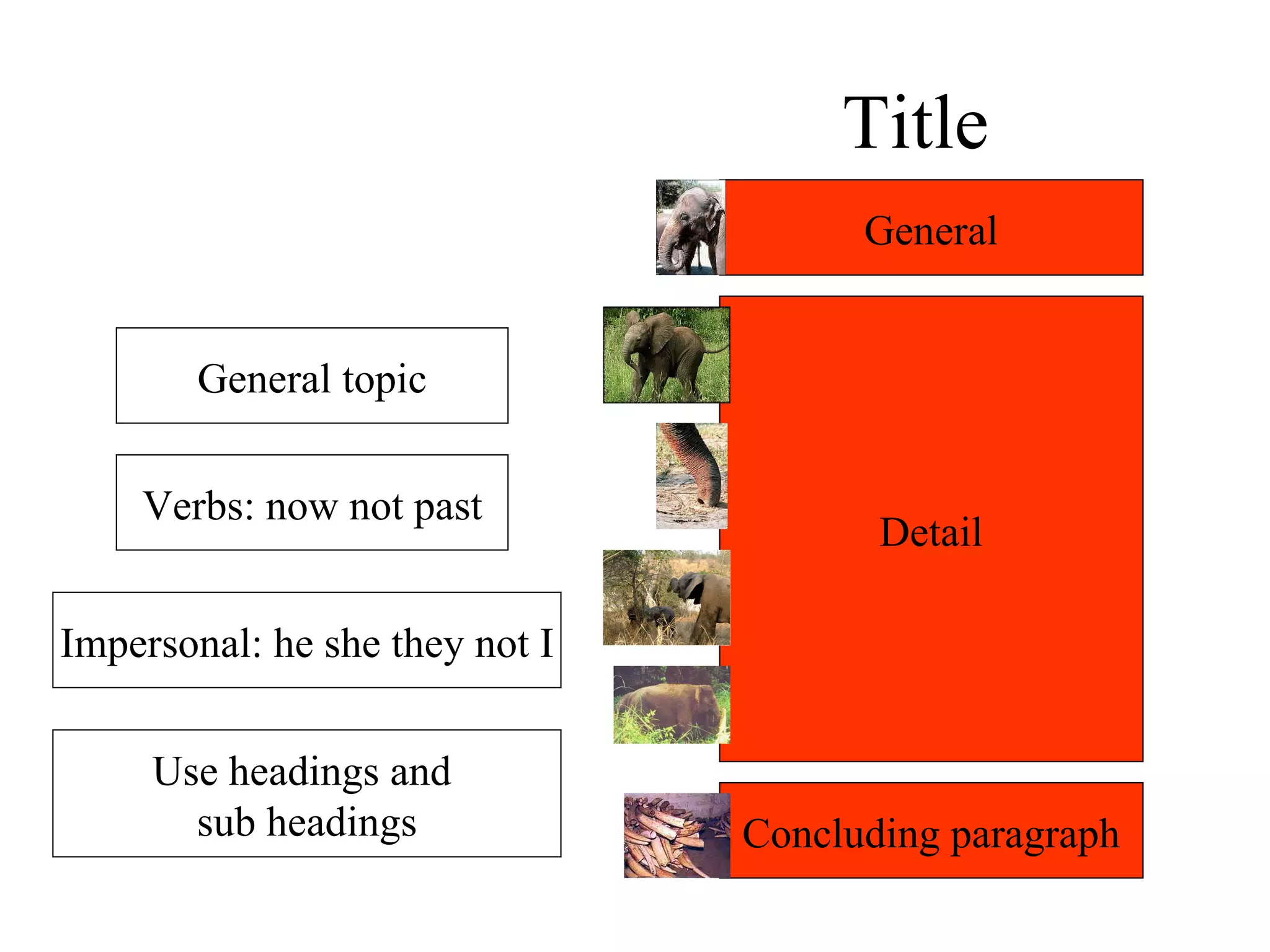 Title General topic Verbs: now not past Impersonal: he she they not I Use headings and  sub headings General Detail Concluding paragraph 