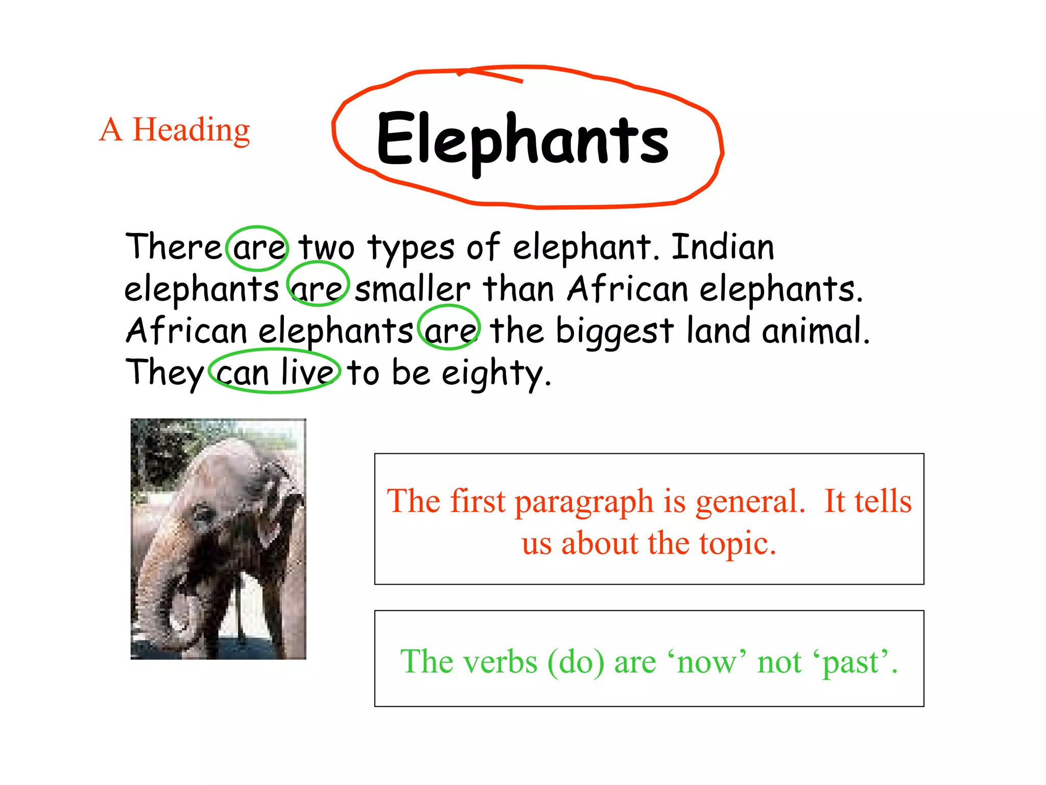 Elephants The first paragraph is general.  It tells us about the topic. There are two types of elephant. Indian elephants are smaller than African elephants.  African elephants are the biggest land animal. They can live to be eighty.   A Heading The verbs (do) are ‘now’ not ‘past’. 