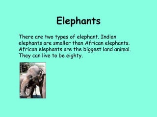 Elephants There are two types of elephant. Indian elephants are smaller than African elephants.  African elephants are the biggest land animal. They can live to be eighty.   