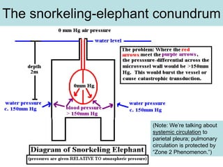 The snorkeling-elephant conundrum
(Note: We’re talking about
systemic circulation to
parietal pleura; pulmonary
circulation is protected by
“Zone 2 Phenomenon.”)
 