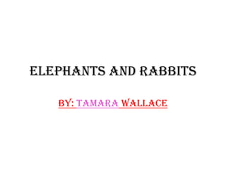 Elephants and Rabbits By: Tamara Wallace 
