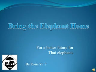 Bring the Elephant Home For a better future for Thai elephants By Rosie Yr  7 