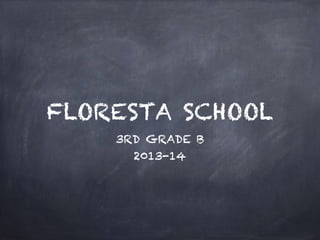 FLORESTA SCHOOL
3RD GRADE B
2013-14
 