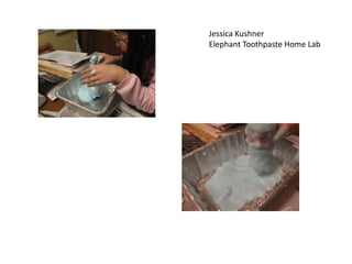 Jessica KushnerElephant Toothpaste Home Lab 