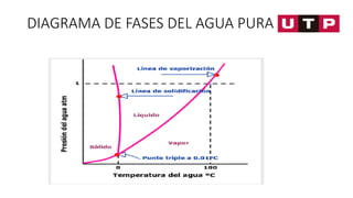DIAGRAMA DE FASES DEL AGUA PURA
 