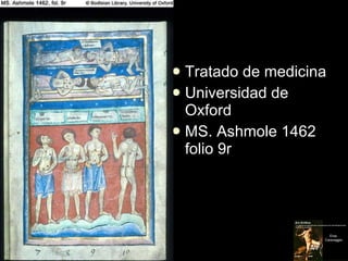 <ul><li>Tratado de medicina </li></ul><ul><li>Universidad de Oxford </li></ul><ul><li>MS. Ashmole 1462 folio 9r </li></ul>