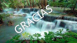 El error humano en la actividad profesional ii.docx