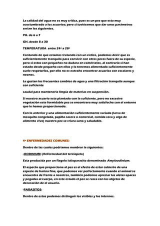 La calidad del agua no es muy critica, pues es un pez que esta muy
acostumbrado a los acuarios; pero si tuviésemos que dar unos parámetros
serian los siguientes.
PH. de 6 a 7
GH. desde 8 a 30
TEMPERATURA entre 24º a 28º
Contando de que estamos tratando con un cíclico, podemos decir que es
suficientemente tranquilo para convivir con otros peces fuera de su especie,
pero si estos son pequeños no dudara en comérselos, al contrario si han
estado desde pequeño con ellos y lo tenemos alimentado suficientemente
suele respetarlos, por ello no es extraño encontrar acuarios con escalares y
neones.
Le gustan los frecuentes cambios de agua y una filtración tranquila aunque
con suficiente
caudal para mantenerla limpia de materias en suspensión.
Si nuestro acuario esta plantado con la suficiente, pero no excesiva
vegetación este formidable pez se encontrara muy satisfecho con el entorno
que le hemos proporcionado.
Con lo anterior y una alimentación suficientemente variada (larva de
mosquito congelada, papilla casera o comercial, comida seca y algo de
alimento vivo) nuestro pez se criara sano y saludable.
4º ENFERMEDADES COMUNES:
Dentro de las cuales podríamos nombrar la siguientes:
-OODINIUM: (Enfermedad del terciopelo)
Esta producida por un flagelo ictioparasito denominado Amyloodinium.
El aspecto que proporciona al pez es el efecto de estar cubierto de una
especie de harina fina, que podemos ver perfectamente cuando el animal se
encuentra de frente a nosotros, también podemos apreciar las aletas opacas
y pegadas al cuerpo, en este estado el pez se rasca con los objetos de
decoración de el acuario.
-PARASITOS:
Dentro de estos podemos distinguir los visibles y los internos.
 