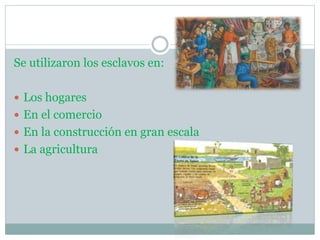 Se utilizaron los esclavos en:
 Los hogares
 En el comercio
 En la construcción en gran escala
 La agricultura
 
