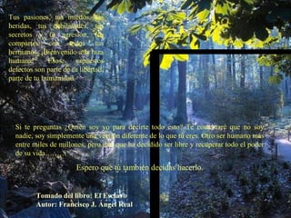 Tus pasiones, tus miedos, tus heridas, tus debilidades, tus secretos y tu agresión, los compartes con todos tus hermanos. ¡Bienvenido a la raza humana! Esos supuestos defectos son parte de tu libertad, parte de tu humanidad. Si te preguntas ¿Quién soy yo para decirte todo esto? Te contestaré que no soy nadie, soy simplemente una versión diferente de lo que tú eres. Otro ser humano más entre miles de millones, pero uno que ha decidido ser libre y recuperar todo el poder de su vida……… Espero que tú también decidas hacerlo. Tomado del libro: El Esclavo Autor: Francisco J. Ángel Real 