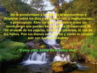 No te acostumbres a la vida, no te acostumbres a despertar todos los días y estar aburrido, o malhumorado, o preocupado. Abre tus ojos y agradece todas las bendiciones que puedes ver, agradece tu capacidad de oír el canto de los pájaros, tu música preferida, la risa de tus hijitos. Pon tus manos en tu pecho y siente tu corazón latir con fuerza diciéndote: “ Estoy vivo, estoy vivo, estoy vivo”. 