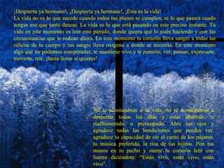 ¡Despierta ya hermano!, ¡Despierta ya hermana!, ¡Esta es la vida!  La vida no es lo que sucede cuando todos tus planes se cumplen, ni lo que pasará cuado tengas eso que tanto deseas. La vida es lo que está pasando en este preciso instante. Tú vida en este momento es leer este párrafo, donde quiera que lo estés haciendo y con las circunstancias que te rodean ahora. En este momento tu corazón lleva sangre a todas las células de tu cuerpo y tus sangre lleva oxígeno a donde se necesita. En este momento algo que no podemos comprender, te mantiene vivo y te permite, ver, pensar, expresarte, moverte, reír, ¡hasta llorar si quieres! No te acostumbres a la vida, no te acostumbres a despertar todos los días y estar aburrido, o malhumorado, o preocupado. Abre tus ojos y agradece todas las bendiciones que puedes ver, agradece tu capacidad de oír el canto de los pájaros, tu música preferida, la risa de tus hijitos. Pon tus manos en tu pecho y siente tu corazón latir con fuerza diciéndote: “Estás vivo, estás vivo, estás vivo” . 