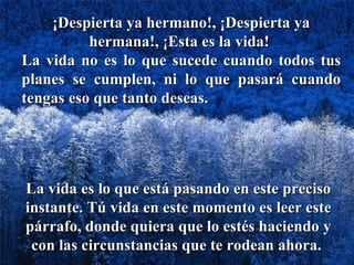 ¡Despierta ya hermano!, ¡Despierta ya hermana!, ¡Esta es la vida!  La vida no es lo que sucede cuando todos tus planes se cumplen, ni lo que pasará cuando tengas eso que tanto deseas.  La vida es lo que está pasando en este preciso instante. Tú vida en este momento es leer este párrafo, donde quiera que lo estés haciendo y con las circunstancias que te rodean ahora.  