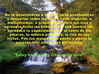 No te acostumbres a la vida, no te acostumbres
 a despertar todos los días y estar aburrido, o
 malhumorado, o preocupado. Abre tus ojos y
agradece todas las bendiciones que puedes ver,
  agradece tu capacidad de oír el canto de los
   pájaros, tu música preferida, la risa de tus
 hijitos. Pon tus manos en tu pecho y siente tu
       corazón latir con fuerza diciéndote:


    “Estoy vivo, estoy vivo, estoy vivo”.
 