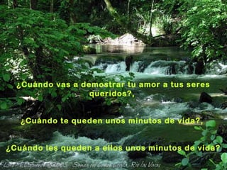 ¿Cuándo vas a demostrar tu amor a tus seres
queridos?,
¿Cuándo te queden unos minutos de vida?,
¿Cuándo les queden a ellos unos minutos de vida?

 