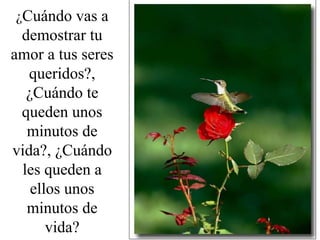 ¿Cuándo vas a
demostrar tu
amor a tus seres
queridos?,
¿Cuándo te
queden unos
minutos de
vida?, ¿Cuándo
les queden a
ellos unos
minutos de
vida?
 