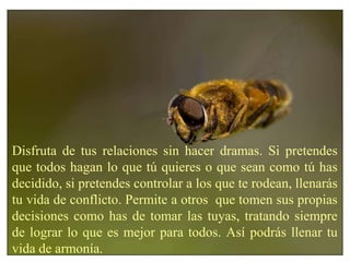 Disfruta de tus relaciones sin hacer dramas. Si pretendes
que todos hagan lo que tú quieres o que sean como tú has
decidido, si pretendes controlar a los que te rodean, llenarás
tu vida de conflicto. Permite a otros que tomen sus propias
decisiones como has de tomar las tuyas, tratando siempre
de lograr lo que es mejor para todos. Así podrás llenar tu
vida de armonía.
 