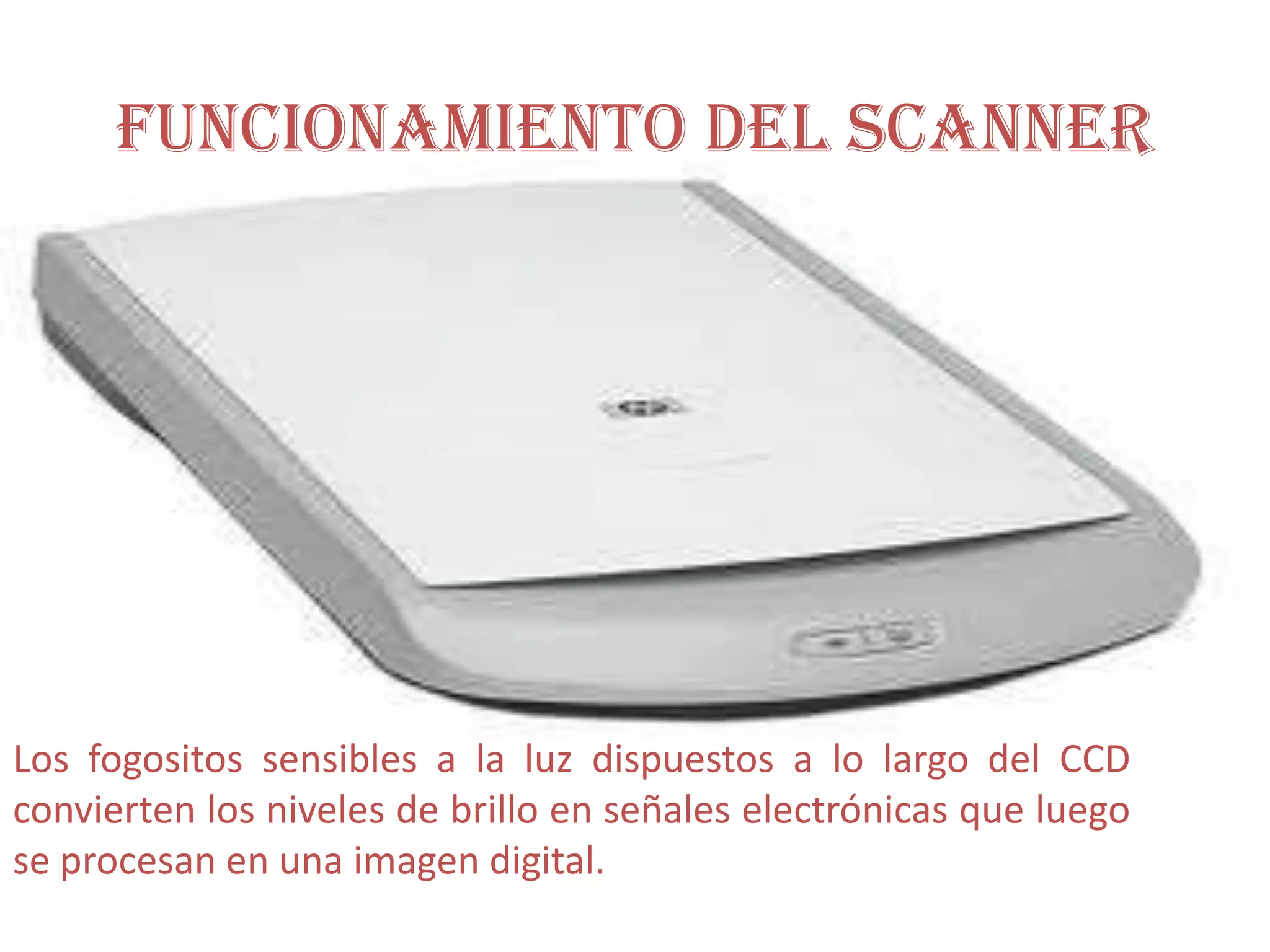Funcionamiento del scannerLos fogositos sensibles a la luz dispuestos a lo largo del CCD convierten los niveles de brillo en señales electrónicas que luego se procesan en una imagen digital.