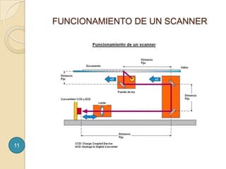       FUNCIONAMIENTO DE UN SCANNER11