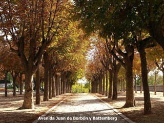 Avenida Juan de Borbón y Battemberg