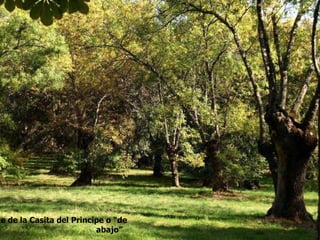 Parque de la Casita del Principe o “de abajo”