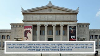 The Field Museum of Natural History is one of the largest natural history museums in the
world. You will find artifacts that span history and the globe, such an in-depth look into
Ancient Egypt and the Restoring Earth exhibit.
 