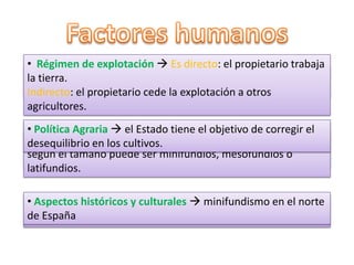 El espacio cultivado