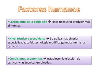 El espacio cultivado