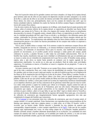 Nace de la porción etérea de los grandes centros nerviosos situados a lo largo de la espina dorsal,
pero termina cada uno de ellos en una especie de depresión circular un tanto semejante a la corola
de la flor; y cada uno de ellos es un centro de intensa actividad. Dos atañen especialmente al cuerpo
físico denso; los otros son, principalmente, lazos con los cuerpos de materia mas sutil –que no
hemos estudiado todavía- mediante los cuales las fuerzas de dichos cuerpos llegan a manifestarse a
través del cuerpo físico denso.
Uno de estos centros de fuerza, que no aparece en el dibujo, está situado hacia la parte posterior del
cuerpo, sobre el extremo inferior de la espina dorsal; se especializa en absorber una fuerza llama
kundalini, que emana de la Tierra y da vida a los órganos del cuerpo; dicha fuerza es actualmente
desconocida a la ciencia. El segundo centro, situado sobre el bazo, se especializa en recibir Prana, o
sea, la vitalidad procedente del Sol; aquí Prana se divide y se distribuye a las diferentes partes del
cuerpo, vitalizando los diversos centros nerviosos y haciendo que fluyan energías etéreas por los
nervios físicos densos. Ya explicaremos más adelante cómo los otros centros etéreos son canales de
comunicación gracias a los cuales las fuerzas procedentes de los cuerpos más sutiles se expresan a
través del cuerpo físico.
Tal es, pues, el doble etéreo o cuerpo vital. Si lo unimos a todos los anteriores cuerpos físicos del
hombre, enseguida los nervios se vitalizarán, y el sistema telefónico corporal entrará en funciones;
ya tenemos, no solamente el mecanismo físico para la moción, sino también la vitalidad para
ponerlo en movimiento; ya el cerebro puede enviar mensajes a todas partes del cuerpo; puede
ordenarse la acción, y pueden llevarse a cabo todas las actividades subconscientes. Pero en el
hombre hay mucho, muchísimo más que mera vitalidad: es infinitamente más que un autómata que
se mueve y actúa sin un vislumbre de comprensión de lo que lleva a cabo. El hombre siente, piensa,
espera, ama y aún eleva su mente hasta ponerla en contacto con la región sagrada de las
aspiraciones espirituales. La acción no es más que un producto final de todas estas actividades
superiores. Un autómata se mueve; el hombres se mueve a impulsos de un propósito. Y esta es la
enorme diferencia.
Así pues, tenemos que ir más allá. Tenemos ya un cuerpo físico denso completo y un cuerpo vital
que le da vida y animación. Pero, así y todo, carece de sensibilidad, de corazón. Posee órganos de
los sentidos, pero no tiene en qué o para qué usarlos: no sabe de la delicia que hay en la fragancia de
las flores ni de la inspiración que nos llega en el olor de los pinos. Tiene labios y cuerdas vocales, y
capacidad para mover a la una y para hacer vibrar a las otras; pero no puede pronunciar ni una
palabra. Cada uno de sus ojos posee medio millón de fibras nerviosas que llegan hasta el cerebro y
varios millones de varillas y conos para recibir de la retina las impresiones lumínicas transformadas
ya en impulsos eléctricos; pero no hay conciencia de las gloriosas maravillas que nos trae la visión.
Los oídos están prontos a captar los sonidos que vibran en el tímpano, órgano central de todo un
aparato extraordinario, obra maestra de la Naturaleza; pero tan sólo meras vibraciones llegan al
mecanismo que espera, y nada puede convertirlos en los raudales de música sublime que nos
arrebata en gozo extático. ¿Qué es lo que falta, lo que nos falta? Aquí es donde entra la Teosofía y
nos toma de la mano, llevándonos más allá de las regiones del mundo físico para que, a la colección
de vehículos de conciencia que imaginariamente hemos agrupado, agreguemos tres más que
completarán la imagen del hombre que conocemos.
En la LáminaI se nos presentan estos tres vehículos de conciencia, que son el cuerpo astral, el
cuerpo mental y el cuerpo espiritual. Estas ilustraciones son reproducciones monocromáticas de las
láminas que aparecen, cada una a página entera y a todo color, en el libro El hombre visible e
invisible, que ya hemos citado. Hemos descrito e ilustrado los tres órdenes de materia que
corresponden, respectivamente, a estos cuerpos superfísicos en la Fig22. Cada uno de los cuerpos
aparece aquí representado tres veces, en otras tantas etapas de su evolución: hombre primitivo,
hombre corriente actual y hombre altamente desarrollado en su evolución. Las cualidades de estos
cuerpos de materia más sutil se expresan, en la realidad, por medio de colores; y es este un tema
merecedor de profundo estudio, que ha sido tratado extensamente en la obra mencionada.
101
 