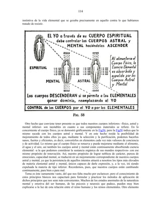 instintiva de la vida elemental que se gozaba precisamente en aquello contra lo que habíamos
tratado de resistir.
Otro hecho que conviene tener presente es que todos nuestros cuerpos inferiores –físico, astral y
mental inferior- son inestables en cuanto a sus componentes materiales se refiere. En lo
concerniente al cuerpo físico, ya se demostró gráficamente en la Fig56; pero la Fig58 indica que lo
mismo sucede con los cuerpos astral y mental. Y en este hecho reside la posibilidad de
mejoramiento de todos ellos ya que, mediante la selección y la purificación, podemos hacerlos
sanos, fuertes y eficientes, es decir, convertirlos en elementos cada vez más valiosos de conciencia
y de actividad. Lo mismo que el cuerpo físico se renueva y puede mejorarse mediante el alimento,
el agua y el aire, así también los cuerpos astral y mental están continuamente absorbiendo esencia
elemental –a la que podemos considerar la sustancia orgánica de sus mundos respectivos- con ese
mismo propósito de renovación. Así, nuestro propósito de lograr nobleza de carácter, pureza de
emociones, capacidad mental, se traducirá en un mejoramiento correspondiente de nuestros cuerpos
astral y mental, ya que la persistencia de aquellos intentos atraerá a nosotros los tipos más elevados
de materia elemental astral y mental, únicos capaces de darle expresión, y, a la vez, irá siendo
expulsada la materia de tipo inferior. Recordemos, pues, que nuestros cuerpos están cambiando
continuamente, para bien o para mal.
Tema es éste sumamente vasto, del que nos falta mucho por esclarecer; pero el conocimiento de
estos principios básicos nos capacitará para formular y practicar los métodos de aplicación de
dichos principios que nos sean más convenientes. Muchos de los estados anormales de la naturaleza
mental y emotiva del ser humano, de las psicosis y neurosis que padece, pueden muy bien
explicarse a la luz de esta relación entre el reino humano y los reinos elementales. Otro elemento
114
 