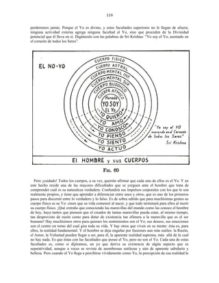 perderemos jamás. Porque el Yo es divino, y estas facultades superiores no le llegan de afuera;
ninguna actividad externa agrega ninguna facultad al Yo, sino que proceden de la Divinidad
potencial que él lleva en sí. Digámoslo con las palabras de Sri Krishna: “Yo soy el Yo, asentado en
el corazón de todos los Seres”.
Pero ¡cuidado! Todos los cuerpos, a su vez, querrán afirmar que cada uno de ellos es el Yo. Y en
este hecho reside una de las mayores dificultades que se yerguen ante el hombre que trata de
comprender cuál es su naturaleza verdadera. Confundirá sus impulsos corporales con los que le son
realmente propios, y tiene que aprender a diferenciar entre unos y otros, que es uno de los primeros
pasos para discernir entre lo verdadero y lo falso. Es de sobra sabido que para muchísimas gentes su
cuerpo físico es su Yo: creen que su vida comenzó al nacer, y que todo terminará para ellos al morir
su cuerpo físico. ¡Qué extraño que conociendo las maravillas del mundo como las conoce el hombre
de hoy, haya tantos que piensen que el creador de tantas maravillas pueda estar, al mismo tiempo,
tan desprovisto de razón como para dotar de existencia tan efímera a la maravilla que es el ser
humano! Hay muchísimos otros para quienes los sentimientos son el Yo; sus deseos, sus emociones
son el centro en torno del cual gira toda su vida. Y hay otros que viven en su mente: ésta es, para
ellos, la realidad fundamental. Y el hombre se deja engañar por ilusiones aun más sutiles: la Razón,
el Amor, la Voluntad pueden llegar a ser, para él, la aparente realidad suprema, más allá de la cual
no hay nada. Es que éstas con las facultades que posee el Yo, pero no son el Yo. Cada una de estas
facultades es, como si dijéramos, un yo que deriva su existencia de algún aspecto que es
separatividad, aunque a veces se revista de asombrosas sutilezas y aún de aparente sabiduría y
belleza. Pero cuando el Yo llega a percibirse vívidamente como Yo, la percepción de esa realidad le
119
 
