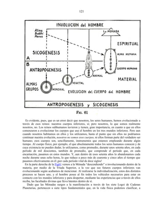 Es evidente, pues, que es un error decir que nosotros, los seres humanos, hemos evolucionado a
través de esos reinos: nuestros cuerpos inferiores, sí; pero nosotros, lo que somos realmente
nosotros, no. Los reinos subhumanos tuvieron y tienen, gran importancia, en cuanto a que en ellos
comenzaron a evolucionar los cuerpos que usa el hombre en los tres mundos inferiores. Pero aun
cuando nosotros habitamos en ellos y los utilizamos, hasta el punto que sin ellos no podríamos
continuar nuestra evolución, nosotros no somos esos cuerpos, ni ellos forman parte del verdadero ser
humano; esos cuerpos son, sencillamente, instrumentos que estamos empleando durante algún
tiempo. Al cuerpo físico, por ejemplo, el que absolutamente todos los seres humanos conocen y de
cuya existencia no pueden dudar, lo utilizamos, como promedio, durante unos setenta años, en cada
período de mil doscientos, también de promedio, que comprende el período que, en cada
encarnación, pasamos en estos mundos. Y, aun dentro de esos setenta años lo abandonamos cada
noche durante unas ocho horas, lo que reduce a poco más de cuarenta y cinco años el tiempo que
pasamos efectivamente en él ¡por cada período vital de doce siglos!
En la parte derecha de la Fig61 vemos a la Mónada “descendiendo” o involucionando dentro de la
materia, por medio de la Tríada Superior, a la vez que sus futuros cuerpos inferiores van
evolucionando según acabamos de mencionar. Al realizarse la individualización, estos dos distintos
procesos se hacen uno, y el hombre posee al fin todos los vehículos necesarios para estar en
contacto con los mundos inferiores y para despertar, mediante las experiencias que a través de ellos
reciba, las facultades divinas que lleva latentes dentro de sí.
Dado que las Mónadas surgen a la manifestación a través de los siete Logoi de Cadenas
Planetarias, pertenecen a siete tipos fundamentales que, en la vida física podemos clasificar, a
121
 