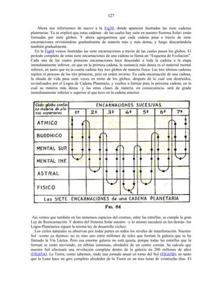 Ahora nos referiremos de nuevo a la Fig30, donde aparecen ilustradas las siete cadenas
planetarias. Ya se explicó que estas cadenas –de las cuales hay siete en nuestro Sistema Solar- están
formadas por siete globos. Y ahora agregaremos que cada cadena pasa a través de siete
encarnaciones revistiéndose gradualmente de materia más y más densa, y luego descartándola
también gradualmente.
En la Fig64 vemos ilustradas las siete encarnaciones a través de las cuales pasan los globos. El
período completo de estas siete encarnaciones de una cadena se llama un “Esquema de Evolución”.
Cada una de las cuatro primeras encarnaciones hace descender a toda la cadena a la etapa
inmediatamente inferior, en que en la primera cadena, la sustancia más densa es el material mental
inferior, en tanto que en la cuarta cadena hay tres globos de materia física. Las tres últimas cadenas
repiten el proceso de las tres primeras, pero en orden inverso. En cada encarnación de una cadena,
la oleada de vida pasa siete veces en torno de los globos; después de lo cual son destruidos,
revitalizados por el Logos de Cadena Planetaria, y vueltos a formar para la próxima cadena, en la
cual su materia más densa –y las otras clases de materia, en consecuencia- será de grado
inmediatamente inferior o superior al que tuvo en la cadena anterior.
Así vemos que también en los inmensos espacios del cosmos, entre las estrellas, se cumple la gran
Ley de Reencarnación. Y dentro del Sistema Solar nuestro –y lo mismo sucederá en los demás- los
Logos Planetarios siguen la misma ley de desarrollo cíclico.
Los ciclos naturales se observan por todas partes en todos los niveles de manifestación. Nuestro
Sol –como ya dijimos- no es sino uno entre millones de soles que forman la galaxia que se ha
llamado la Vía Láctea. Pero esa enorme galaxia no está quieta, porque todas las estrellas que la
forman se están moviendo, en órbitas inmensas, alrededor de un centro común. Se calcula que
nuestro Sol efectuará una revolución completa dentro de la galaxia en 200 millones de años
(FIG65A). La Tierra, como sabemos, rinde una jornada anual en torno del Sol (FIG65B), en tanto
que la Luna hace un giro completo alrededor de la Tierra en un mes lunar de veintiocho días. El
127
 