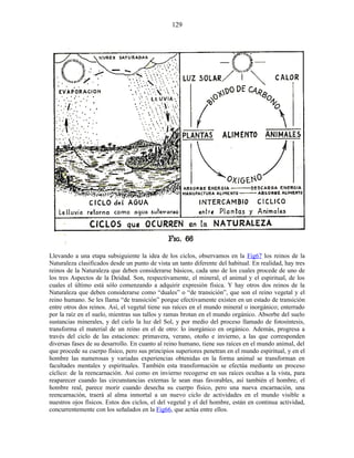 Llevando a una etapa subsiguiente la idea de los ciclos, observamos en la Fig67 los reinos de la
Naturaleza clasificados desde un punto de vista un tanto diferente del habitual. En realidad, hay tres
reinos de la Naturaleza que deben considerarse básicos, cada uno de los cuales procede de uno de
los tres Aspectos de la Deidad. Son, respectivamente, el mineral, el animal y el espiritual, de los
cuales el último está sólo comenzando a adquirir expresión física. Y hay otros dos reinos de la
Naturaleza que deben considerarse como “duales” o “de transición”, que son el reino vegetal y el
reino humano. Se les llama “de transición” porque efectivamente existen en un estado de transición
entre otros dos reinos. Así, el vegetal tiene sus raíces en el mundo mineral o inorgánico; enterrado
por la raíz en el suelo, mientras sus tallos y ramas brotan en el mundo orgánico. Absorbe del suelo
sustancias minerales, y del cielo la luz del Sol, y por medio del proceso llamado de fotosíntesis,
transforma el material de un reino en el de otro: lo inorgánico en orgánico. Además, progresa a
través del ciclo de las estaciones: primavera, verano, otoño e invierno, a las que corresponden
diversas fases de su desarrollo. En cuanto al reino humano, tiene sus raíces en el mundo animal, del
que procede su cuerpo físico, pero sus principios superiores penetran en el mundo espiritual, y en el
hombre las numerosas y variadas experiencias obtenidas en la forma animal se transforman en
facultades mentales y espirituales. También esta transformación se efectúa mediante un proceso
cíclico: de la reencarnación. Así como en invierno recogerse en sus raíces ocultas a la vista, para
reaparecer cuando las circunstancias externas le sean mas favorables, así también el hombre, el
hombre real, parece morir cuando desecha su cuerpo físico, pero una nueva encarnación, una
reencarnación, traerá al alma inmortal a un nuevo ciclo de actividades en el mundo visible a
nuestros ojos físicos. Estos dos ciclos, el del vegetal y el del hombre, están en continua actividad,
concurrentemente con los señalados en la Fig66, que actúa entre ellos.
129
 