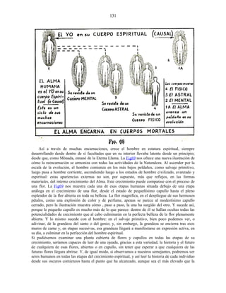 Así a través de muchas encarnaciones, crece el hombre en estatura espiritual, siempre
desarrollando desde dentro de sí facultades que en su interior llevaba latente desde un principio;
desde que, como Mónada, emanó de la Eterna Llama. La Fig69 nos ofrece una nueva ilustración de
cómo la reencarnación se armoniza con todas las actividades de la Naturaleza. Al ascender por la
escala de la evolución, el hombre comienza en los más bajos peldaños, como salvaje primitivo,
luego pasa a hombre corriente, ascendiendo luego a los estados de hombre civilizado, avanzado y
espiritual: estas apariencias externas no son, por supuesto, más que reflejos, en las formas
materiales, del interno crecimiento del Alma. Este crecimiento puede comparase con el proceso de
una flor. La Fig69 nos muestra cada una de esas etapas humanas situada debajo de una etapa
análoga en el crecimiento de una flor, desde el estado de pequeñísimo capullo hasta el pleno
esplendor de la flor abierta en toda su belleza. La flor magnífica, en el despliegue de sus hermosos
pétalos, como una explosión de color y de perfume, apenas se parece al modestísimo capullo
cerrado, pero la ilustración muestra cómo , paso a paso, la una ha surgido del otro. Y sucede así,
porque le pequeño capullo es mucho más de lo que parece: dentro de él se hallan ocultas todas las
potencialidades de crecimiento que al cabo culminarán en la perfecta belleza de la flor plenamente
abierta. Y lo mismo sucede con el hombre: en el salvaje primitivo, bien poco podemos ver, o
adivinar, de la grandeza del santo o del genio; y, sin embargo, la grandeza se encierra tras esos
muros de carne y, en etapas sucesivas, esa grandeza llegará a manifestarse en expresión activa, en
su día, a culminar en la perfección del hombre espiritual.
Si pudiésemos examinar una planta cubierta de flores y capullos en todas las etapas de su
crecimiento, seríamos capaces de leer de una ojeada, gracias a esta variedad, la historia y el futuro
de cualquiera de esas flores, abiertas o en capullo, sin tener que esperar a que cualquiera de las
futuras flores llegara abrirse. Y, de igual modo, si observamos a nuestros semejantes, podremos ver
seres humanos en todas las etapas del crecimiento espiritual, y así leer la historia de cada individuo
desde sus oscuros comienzos hasta el punto que ha alcanzado, aunque sea el más elevado que la
131
 