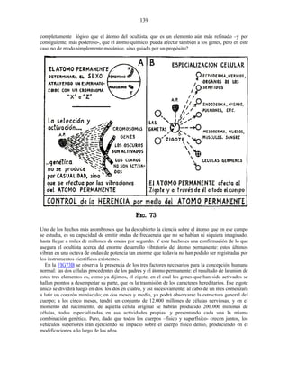 completamente lógico que el átomo del ocultista, que es un elemento aún más refinado –y por
consiguiente, más poderoso-, que el átomo químico, pueda afectar también a los genes, pero en este
caso no de modo simplemente mecánico, sino guiado por un propósito?
Uno de los hechos más asombrosos que ha descubierto la ciencia sobre el átomo que en ese campo
se estudia, es su capacidad de emitir ondas de frecuencia que no se habían ni siquiera imaginado,
hasta llegar a miles de millones de ondas por segundo. Y este hecho es una confirmación de lo que
asegura el ocultista acerca del enorme desarrollo vibratorio del átomo permanente: estos últimos
vibran en una octava de ondas de potencia tan enorme que todavía no han podido ser registradas por
los instrumentos científicos existentes.
En la FIG73B se observa la presencia de los tres factores necesarios para la concepción humana
normal: las dos células procedentes de los padres y el átomo permanente: el resultado de la unión de
estos tres elementos es, como ya dijimos, el zigote, en el cual los genes que han sido activados se
hallan prontos a desempeñar su parte, que es la trasmisión de los caracteres hereditarios. Ese zigote
único se dividirá luego en dos, los dos en cuatro, y así sucesivamente: al cabo de un mes comenzará
a latir un corazón minúsculo; en dos meses y medio, ya podrá observarse la estructura general del
cuerpo; a los cinco meses, tendrá un conjunto de 12.000 millones de células nerviosas, y en el
momento del nacimiento, de aquella célula original se habrán producido 200.000 millones de
células, todas especializadas en sus actividades propias, y presentando cada una la misma
combinación genética. Pero, dado que todos los cuerpos –físico y superfísico- crecen juntos, los
vehículos superiores irán ejerciendo su impacto sobre el cuerpo físico denso, produciendo en él
modificaciones a lo largo de los años.
139
 