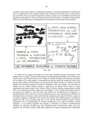 sus efectos sobre ciertos objetos. Y sabiendo cuán grande es la parte que desempeña el sentido de la
vista en la elaboración de las imágenes mentales que nos hacemos del mundo que nos rodea, apenas
nos es posible evitar que nuestra imaginación se lance a pensar en las incontables maravillas que
podríamos contemplar con sólo que nuestras percepciones sensoriales se extendiesen hasta abarcar
toda la escala de radiaciones electromagnéticas hoy conocidas y aún las todavía desconocidas.
El estudio de los órganos sensoriales nos revela gran cantidad de hechos interesantes, como
podemos ver en la Fig21. Nuestro sentido del tacto se relaciona principalmente con la materia en su
estado sólido: exige contacto directo con el objeto. El sentido del gusto sólo funciona al contacto
con la materia en su estado líquido. La percepción de algo por medio del sentido del olfato exige
que ese algo se halle en estado gaseoso; no es necesario el contacto directo si el objeto en cuestión
produce una emanación gaseosa de suficiente intensidad. Estos tres sentidos, que funcionan en
relación con los estados sólidos, líquidos y gaseosos de la materia física, tienen la mayor
importancia para nuestro cuerpo físico. Gracias a ellos, el hombre, durante su etapa primitiva, podía
saber si las sustancias que iban a ingerir eran comestibles o si el aire estaba libre de gases nocivos
que pusieran en peligro su vida. Por ellos supo también de las diferencias de temperatura, y
aprendió muchas cosas acerca de las diversas sustancias que le eran necesarias para satisfacer sus
necesidades físicas. Aún hoy en día, tienen altísima importancia para nuestro bienestar, aunque ya
no estemos obligados a depender de ellos tanto como antaño. Pero cuando pasamos a examinar el
sentido del oído, se nos presenta algo que va más allá de nuestro bienestar material: nuestra
capacidad de oír se ha desarrollado en estrecha coordinación con el poder de producir sonidos
regulados, y esos sonidos regulados han llegado a convertirse en sistemas asombrosamente
complejos de lenguaje articulado que ahora empleamos para comunicación mutua entre eres
humanos. Por este medio, hemos echado abajo algunas de las barreras aparentemente insuperables
42
 