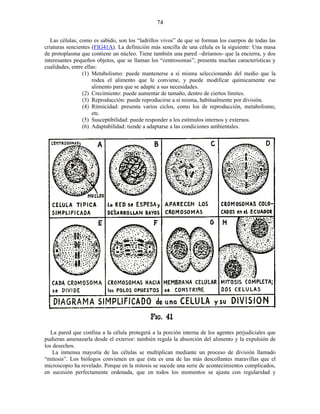 Las células, como es sabido, son los “ladrillos vivos” de que se forman los cuerpos de todas las
criaturas sencientes (FIG41A). La definición más sencilla de una célula es la siguiente: Una masa
de protoplasma que contiene un núcleo. Tiene también una pared –diríamos- que la encierra, y dos
interesantes pequeños objetos, que se llaman los “centrosomas”; presenta muchas características y
cualidades, entre ellas:
(1) Metabolismo: puede mantenerse a sí misma seleccionando del medio que la
rodea el alimento que le conviene, y puede modificar químicamente ese
alimento para que se adapte a sus necesidades.
(2) Crecimiento: puede aumentar de tamaño, dentro de ciertos límites.
(3) Reproducción: puede reproducirse a sí misma, habitualmente por división.
(4) Ritmicidad: presenta varios ciclos, como los de reproducción, metabolismo,
etc.
(5) Susceptibilidad: puede responder a los estímulos internos y externos.
(6) Adaptabilidad: tiende a adaptarse a las condiciones ambientales.
La pared que confina a la célula protegerá a la porción interna de los agentes perjudiciales que
pudieran amenazarla desde el exterior: también regula la absorción del alimento y la expulsión de
los desechos.
La inmensa mayoría de las células se multiplican mediante un proceso de división llamado
“mitosis”. Los biólogos convienen en que ésta es una de las más descollantes maravillas que el
microscopio ha revelado. Porque en la mitosis se sucede una serie de acontecimientos complicados,
en sucesión perfectamente ordenada, que en todos los momentos se ajusta con regularidad y
74
 