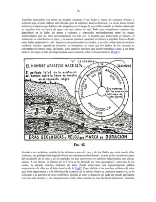 También arrastraban los restos de muchas criaturas vivas: hojas y ramas de cercanos árboles y
arbustos que, al caer, habían sido llevadas por la corriente, huesos diversos, y a veces hasta formas
animales completas que habían sido atrapadas en el fango de sus orillas cuando se habían adentrado
en aquellas vías en busca de agua con que calmar su sed. Todo este variadísimo conjunto fue
depositado en el lecho de mares y océanos y sepultados profundamente entre las masas
sedimentadas que así iban acrecentándose era tras era. A medida que transcurría el tiempo, el
sedimento se transformó en roca, y la acción química convirtió en fósiles a aquellas formas donde
antes había palpitado la vida. Siguieron transcurriendo las edades, y en ellas sobrevinieron muchos
cambios: muchas superficies terrestres se inundaron, en tanto que los lechos de los océanos se
convertían en tierras secas; de hecho, tales cambios tuvieron que ocurrir repetidas veces, y un buen
número de capas se han ido depositando sucesivamente sobre el mismo terreno (Fig42).
Gracias a un cuidadoso estudio de las distintas capas de roca, y de los fósiles que cada una de ellas
contiene, los geólogos han logrado forjar una representación bastante exacta de las sucesivas etapas
del desarrollo de la vida y de los períodos en que ocurrieron los cambios relacionados con dichas
etapas. A ese objeto, la historia de la Tierra se ha dividido en “eras geológicas”, cada una de las
cuales ha durado muchos millones de años. Puede observarse una representación gráfica
esquemática de ellas en el lado derecho de la Fig42. Pero, debido a los muchos millones de años
que éstas representan y a la dificultad de expresar en la misma forma su duración respectiva, se ha
colocado a la derecha un reloj simbólico, gracias al cual la duración de cada era puede apreciarse
con una sola mirada, y las comparaciones entre ellas resultan de una facilidad elemental. También
76
 