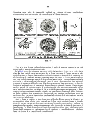 Naturaleza actúa sobre la incalculable multitud de criaturas vivientes, impulsándolas
constantemente hacia una expresión más y más plena de la Vida que las anima.
Pero, a lo largo de este prolongadísimo camino, el hecho de suprema importancia que está
aconteciendo es la evolución de la conciencia.
En la Fig48 vemos dos triángulos, uno con el vértice hacia arriba, y el otro con el vértice hacia
abajo. La línea vertical gruesa, que corta en dos la figura, representa el Tiempo que, en su más
profundo sentido, es ilusorio. La gruesa línea horizontal representa el desarrollo de la conciencia: en
el reino mineral, la conciencia aparece representada por un solo punto; en el reino vegetal, una línea
muy corta simboliza un grado pequeño de desarrollo de la conciencia, y otra más larga simboliza la
conciencia, ya más avanzada, del reino animal. Luego, la gruesa y larga y continua línea horizontal
representa la conciencia del hombre; aquí debe observarse que esta línea se encuentra a la altura de
la mitad de la distancia entre la materia más densa y el espíritu más sutil. Además, el hecho de que
esa línea sea toda ella continua, es decir, de un ininterrumpido color negro, es representación gráfica
de un hecho importantísimo: por debajo de ella no ha habido más que conciencia en masa, es decir,
una conciencia compartida por todas las entidades que integraban un alma grupal, si bien el número
de dichas unidades fuese gradualmente disminuyendo por sucesivas subdivisiones, como ya
explicamos. Pero esa gruesa línea continua significa el advenimiento de la autoconciencia que, a la
vez, es conciencia individual.
Aquí es donde se establece el lazo directo entre el hombre Divino, que es la Mónada, y su
correspondiente tríada inferior –antes encerrada en el alma grupal- mediante la cual la Mónada
construirá muchos cuerpos sucesivos, para expresarse en los mundos menos sutiles, y mediante los
cuales desarrollará, gracias a las experiencias que por ellos obtenga, las facultades divinas que en sí
lleva latentes. Por debajo de esa línea divisoria, la separación restringe más y más la conciencia
hasta reducirla a un punto; por encima de esa línea, la conciencia va expandiéndose más y más hasta
llegar a la plenitud de su expansión en la Unidad integral.
88
 