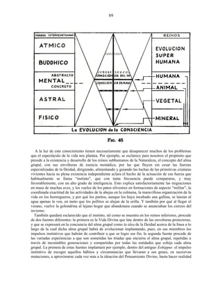 A la luz de este conocimiento tienen necesariamente que desaparecer muchos de los problemas
que el espectáculo de la vida nos plantea. Por ejemplo, se esclarece para nosotros el propósito que
preside a la existencia y desarrollo de los reinos subhumanos de la Naturaleza, el concepto del alma
grupal, con sus envolturas de esencia monádica, por las que fluyen sin cesar las fuerzas
especializadas de la Deidad, dirigiendo, alimentando y guiando las luchas de las primitivas criaturas
vivientes hacia su plena existencia independiente aclara el hecho de la actuación de esa fuerza que
habitualmente se llama “instinto”, que con tanta frecuencia puede compararse, y muy
favorablemente, con un alto grado de inteligencia. Esto explica satisfactoriamente las migraciones
en masa de muchas aves, y los vuelos de los patos silvestres en formaciones de aspecto “militar”, la
coordinada exactitud de las actividades de la abejas en la colmena, la maravillosa organización de la
vida en los hormigueros, y por qué los patitos, aunque los haya incubado una gallina, se lanzan al
agua apenas la ven, en tanto que los pollitos se alejan de la orilla. Y también por qué al llegar el
verano, vuelve la golondrina al lejano hogar que abandonara cuando se anunciaban los cierzos del
invierno.
También quedará esclarecido que el instinto, tal como se muestra en los reinos inferiores, procede
de dos fuentes diferentes: la primera es la Vida Divina que late dentro de las envolturas protectoras,
y que se expresará en la conciencia del alma grupal como la idea de la Deidad acerca de la línea a lo
largo de la cual dicha alma grupal habrá de evolucionar implantando, pues, en sus miembros los
impulsos instintivos que habrán de contribuir a que se logre ese fin; la segunda fuente procede de
las variadas experiencias a que son sometidas las tríadas que encierra el alma grupal, repetidas a
través de incontables generaciones y compartidas por todas las entidades que cobija cada alma
grupal. La primera de estas fuentes implantará por ejemplo, dentro del antiguo Eohippus el impulso
instintivo de escoger aquellos hábitos y circunstancias que llevaran a sus genes, en sucesivas
mutaciones, a aproximarse cada vez más a la ideación del Pensamiento Divino, hasta hacer realidad
89
 