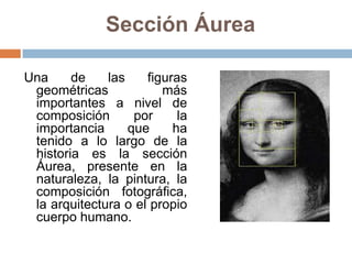 Sección Áurea
Una de las figuras
geométricas más
importantes a nivel de
composición por la
importancia que ha
tenido a lo largo de la
historia es la sección
Áurea, presente en la
naturaleza, la pintura, la
composición fotográfica,
la arquitectura o el propio
cuerpo humano.
 