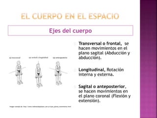 Ejes del cuerpo
Transversal o frontal, se
hacen movimientos en el
plano sagital (Abducción y
abducción).
Longitudinal, Rotación
interna y externa.
Sagital o anteposterior,
se hacen movimientos en
el plano coronal (Flexión y
extensión).
Imagen tomada de: http://www.redmetodopilates.com.ar/ejes_planos_movimiento.html
 