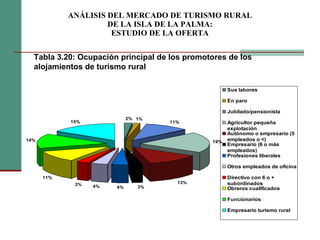 ANÁLISIS DEL MERCADO DE TURISMO RURAL DE LA ISLA DE LA PALMA: ESTUDIO DE LA OFERTA Tabla ‎3.20: Ocupación principal de los promotores de los  alojamientos de turismo rural 