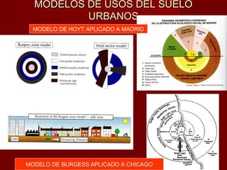 MODELOS DE USOS DEL SUELOMODELOS DE USOS DEL SUELO
URBANOSURBANOS
MODELO DE BURGESS APLICADO A CHICAGO
MODELO DE HOYT APLICADO A MADRID
 