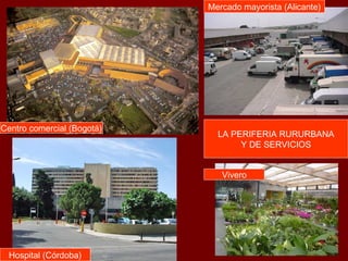 LA PERIFERIA RURURBANA
Y DE SERVICIOS
Centro comercial (Bogotá)
Hospital (Córdoba)
Mercado mayorista (Alicante)
Vivero
 