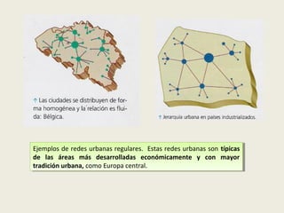 Ejemplos de redes urbanas regulares. Estas redes urbanas son típicas
Ejemplos de redes urbanas regulares. Estas redes urbanas son típicas
de las áreas más desarrolladas económicamente yy con mayor
de las áreas más desarrolladas económicamente
con mayor
tradición urbana, como Europa central.
tradición urbana, como Europa central.

 